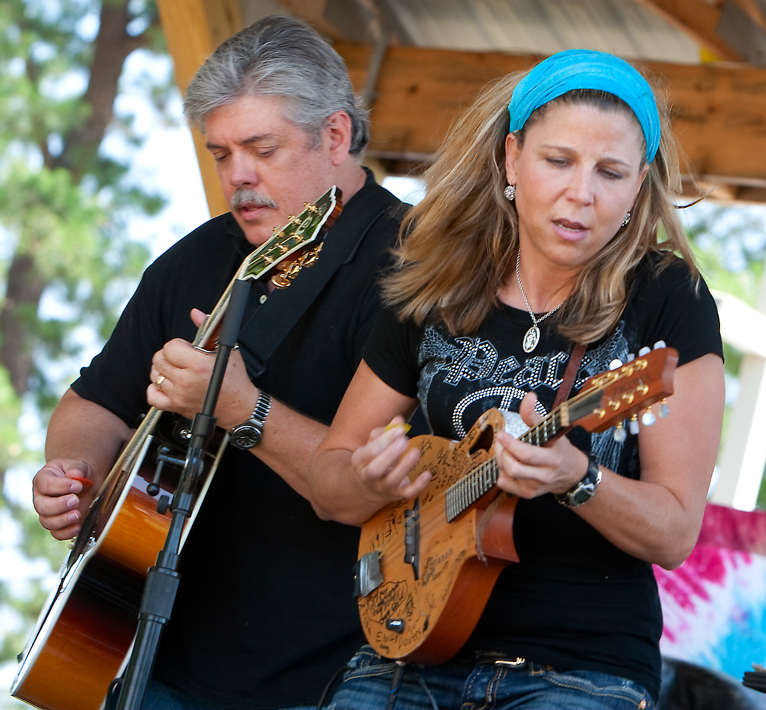 Terry Hendrix Terri Hendrix w/Lloyd Maines | Cave Without a Name